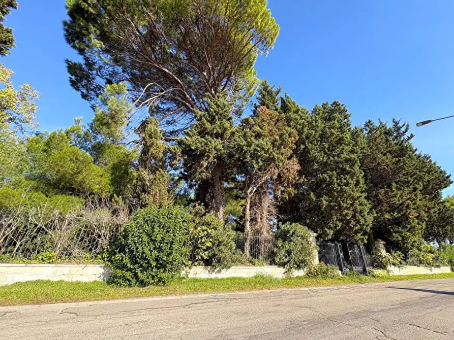 Immagine 55 di Villa in vendita  in via IV NOVEMBRE 199 a Carmiano