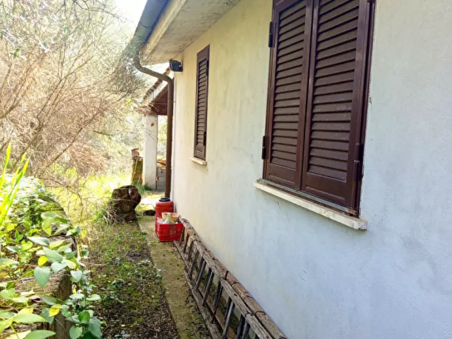 Immagine 4 di Casa indipendente in vendita  in Via dei Colli 233 a Palombara Sabina