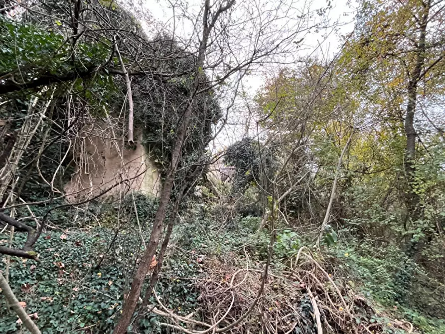 Immagine 3 di Rustico / casale in vendita  in Via Veneziana a Sarego