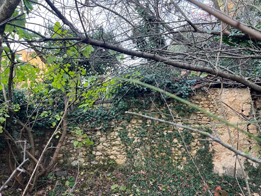 Immagine 4 di Rustico / casale in vendita  in Via Veneziana a Sarego