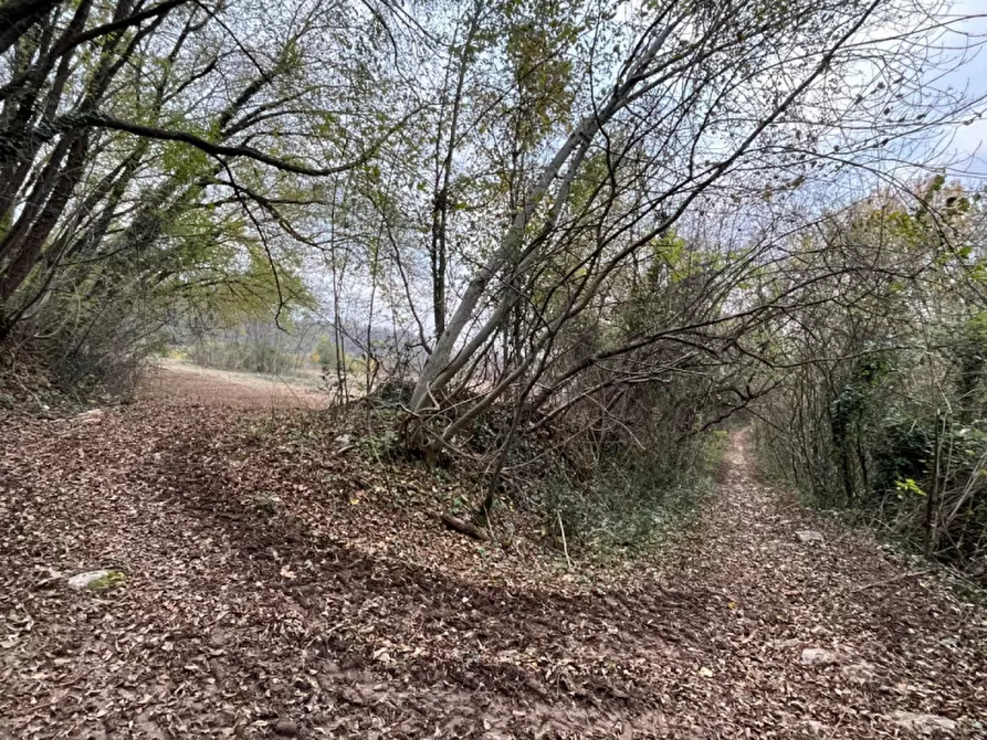 Immagine 5 di Rustico / casale in vendita  in Via Veneziana a Sarego