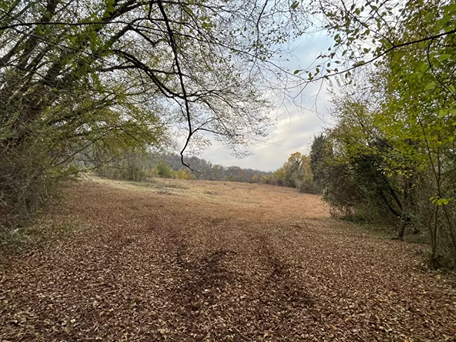 Immagine 7 di Rustico / casale in vendita  in Via Veneziana a Sarego