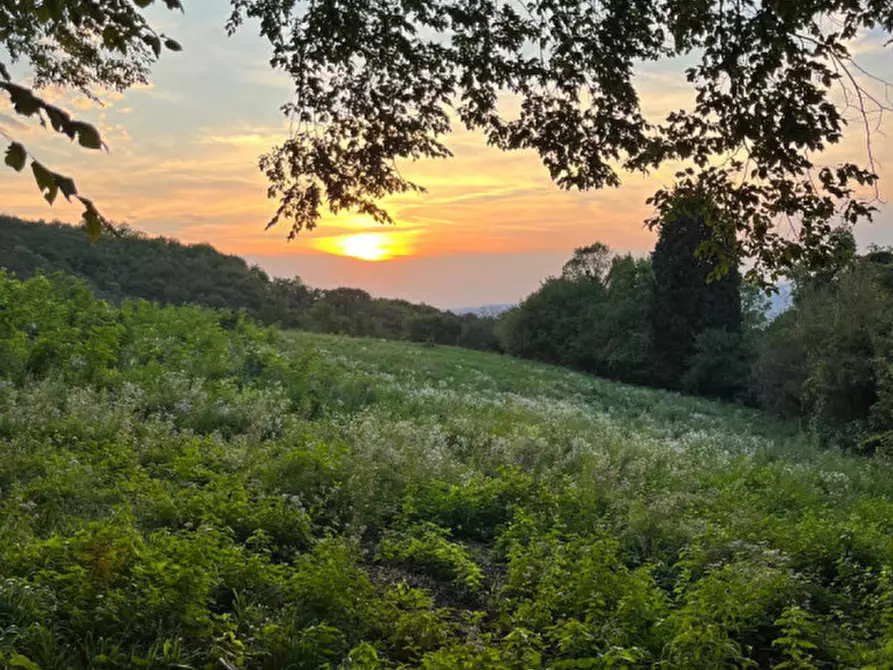 Immagine 8 di Rustico / casale in vendita  in Via Veneziana a Sarego