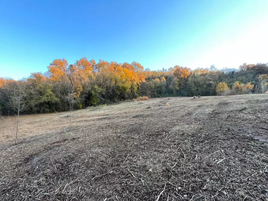 Immagine 10 di Rustico / casale in vendita  in Via Veneziana a Sarego