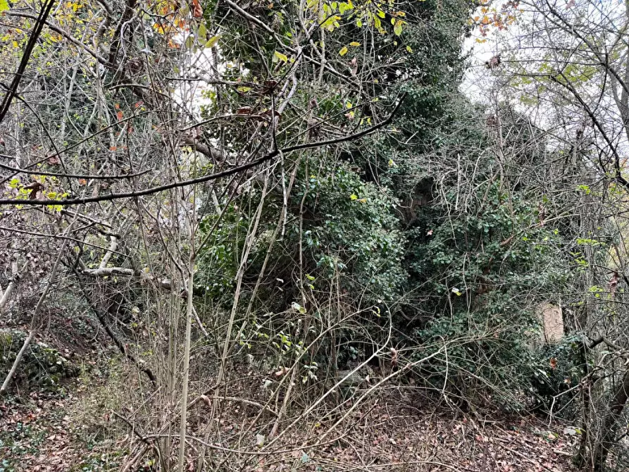 Immagine 11 di Rustico / casale in vendita  in Via Veneziana a Sarego