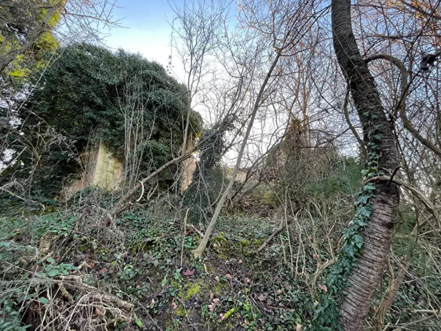 Immagine 14 di Rustico / casale in vendita  in Via Veneziana a Sarego