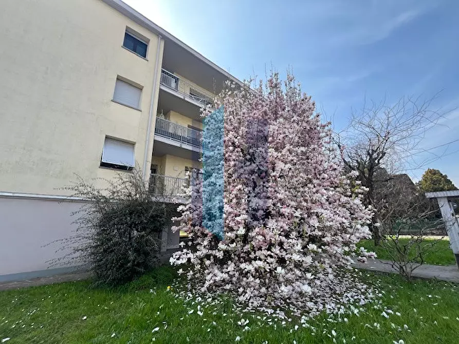 Immagine 5 di Appartamento in vendita  in Via Forlanini a Ponte San Pietro