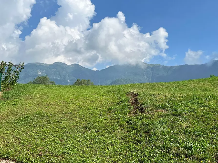 Immagine 23 di Rustico / casale in vendita  in Via Petrazzini a Crespadoro