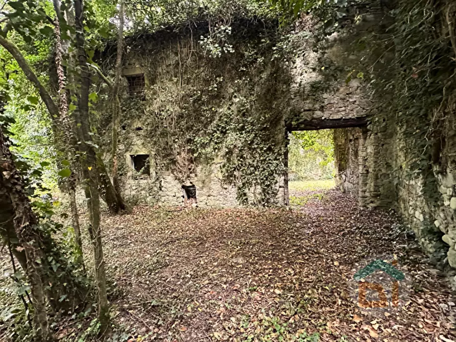 Immagine 13 di Multiproprietà in vendita  in Via della Scuola Agraria a Gorizia