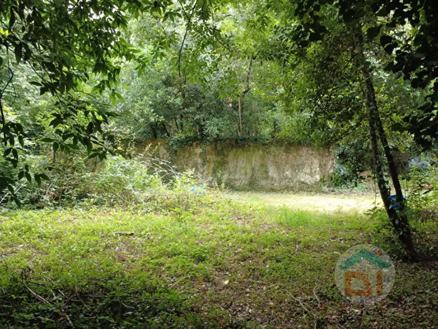 Immagine 16 di Multiproprietà in vendita  in Via della Scuola Agraria a Gorizia