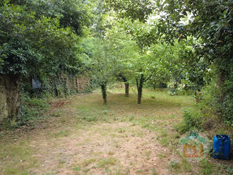 Immagine 17 di Multiproprietà in vendita  in Via della Scuola Agraria a Gorizia