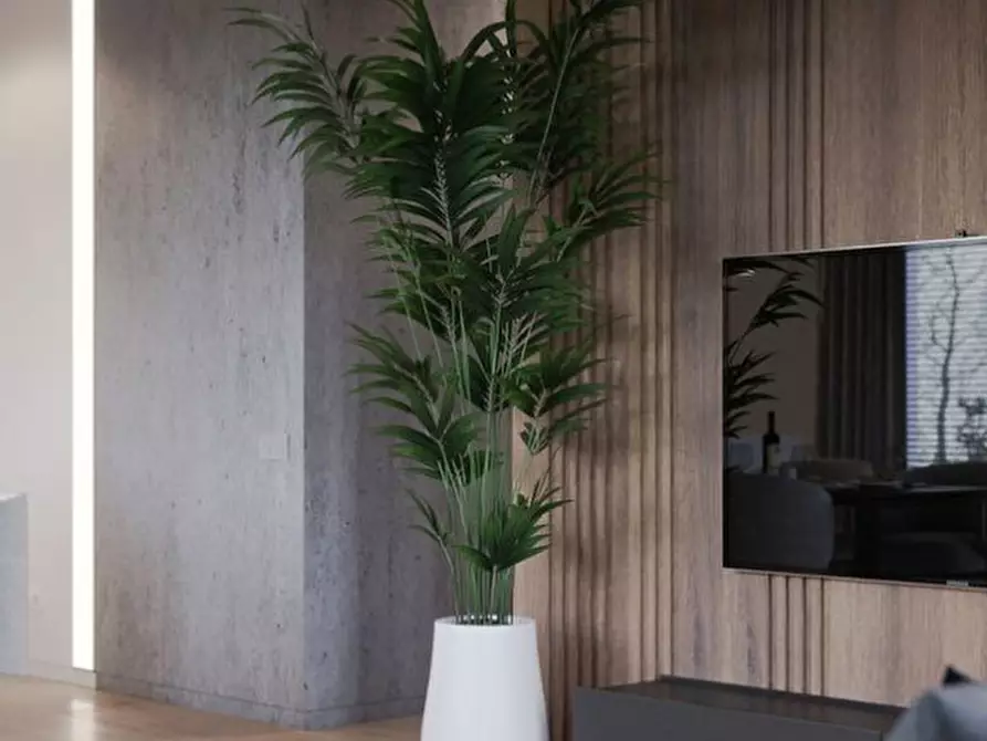 Immagine 24 di Attico in vendita  in Via Sant'antonio 20 a Teolo