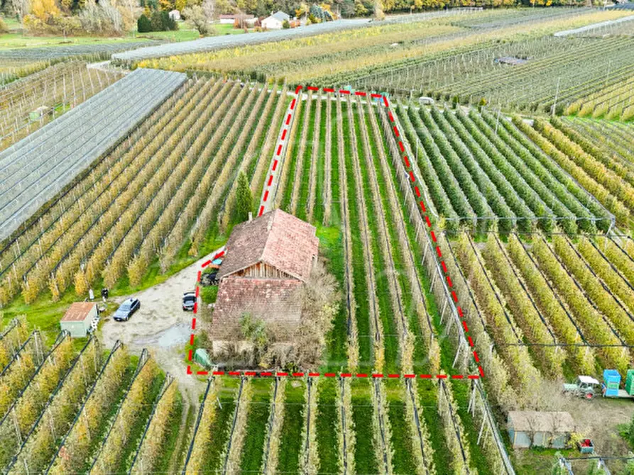 Immagine 2 di Casa indipendente in vendita  a Caldaro Sulla Strada Del Vino .Kaltern An De.