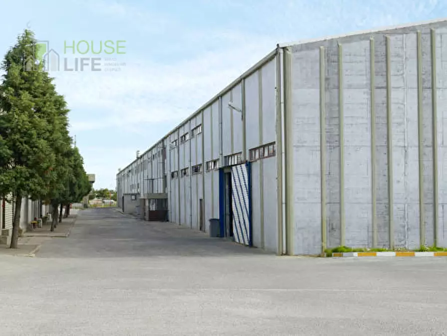 Immagine 6 di Capannone industriale in affitto  in Via dell'Economia a Thiene
