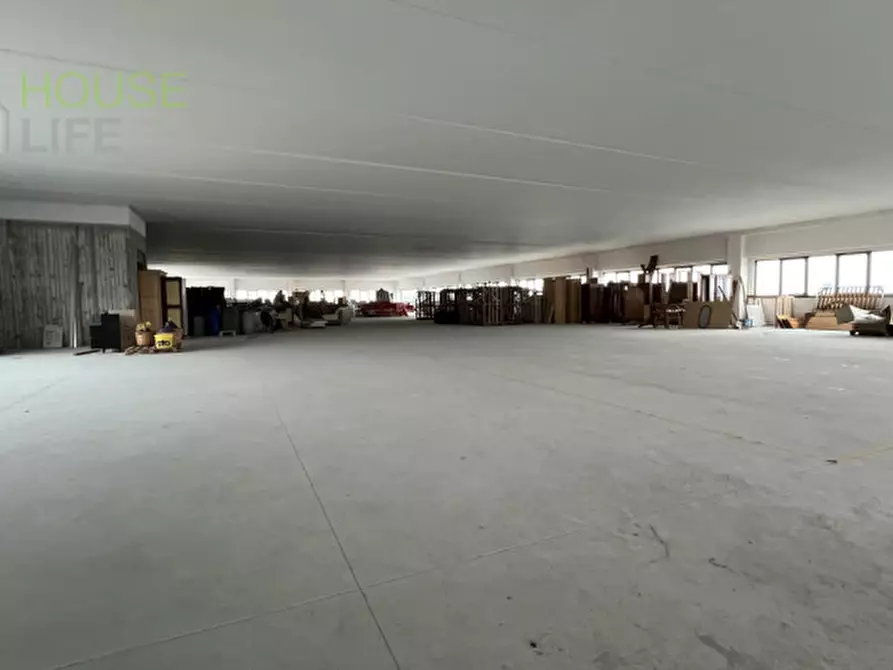 Immagine 17 di Capannone industriale in vendita  in Via dell'agricoltura 29 a Minerbe