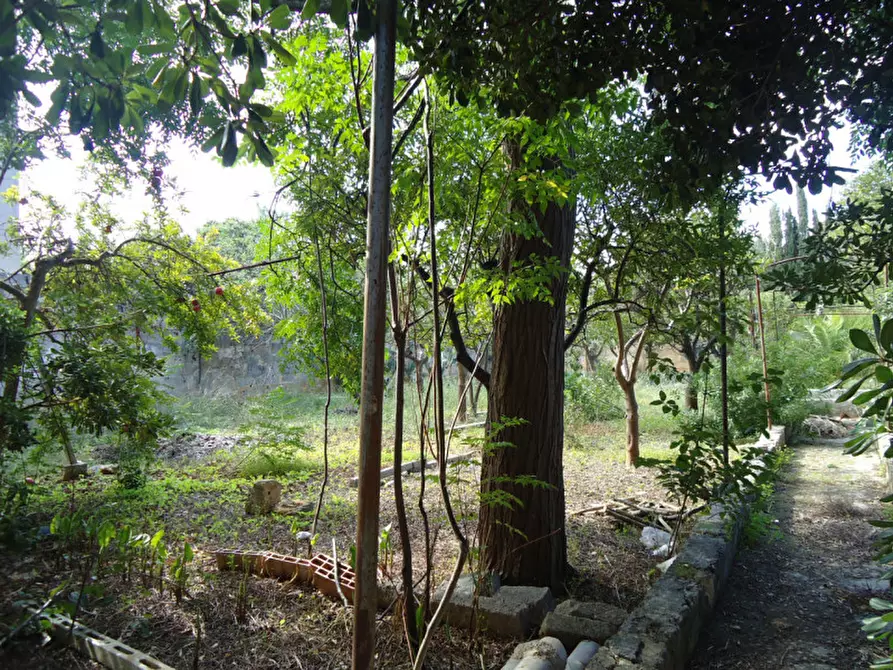 Immagine 4 di Terreno in vendita  in Via Evangelista Torricelli a Casarano