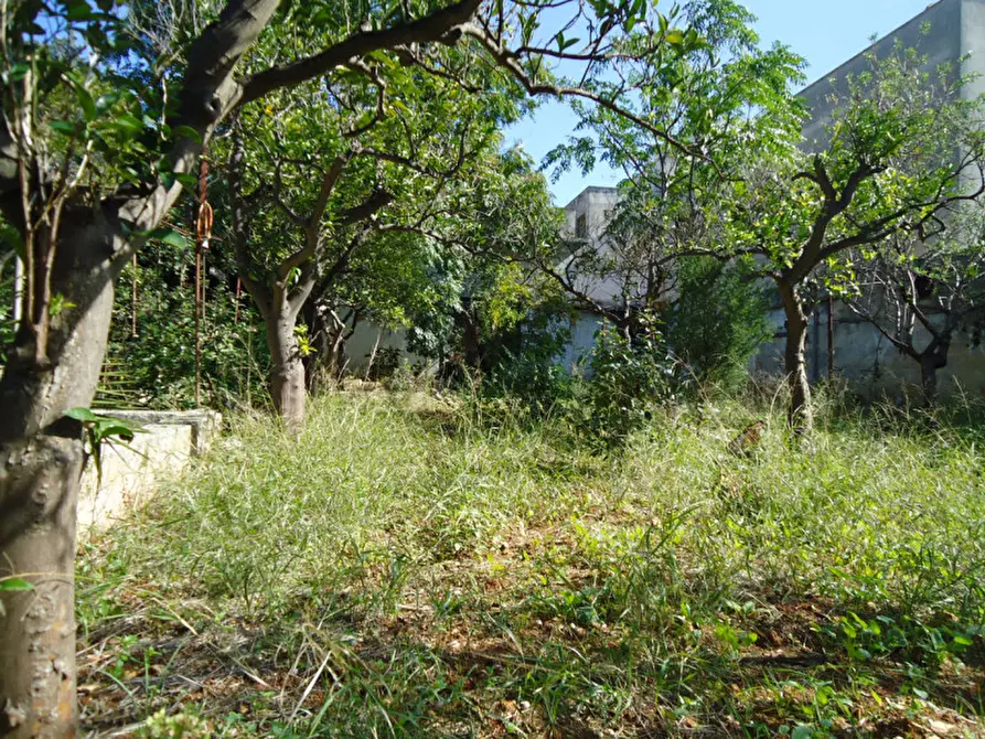 Immagine 5 di Terreno in vendita  in Via Evangelista Torricelli a Casarano