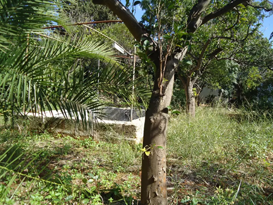 Immagine 6 di Terreno in vendita  in Via Evangelista Torricelli a Casarano