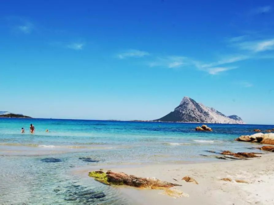 Immagine 11 di Villa in vendita  in Via L'AldìA Bianca a San Teodoro