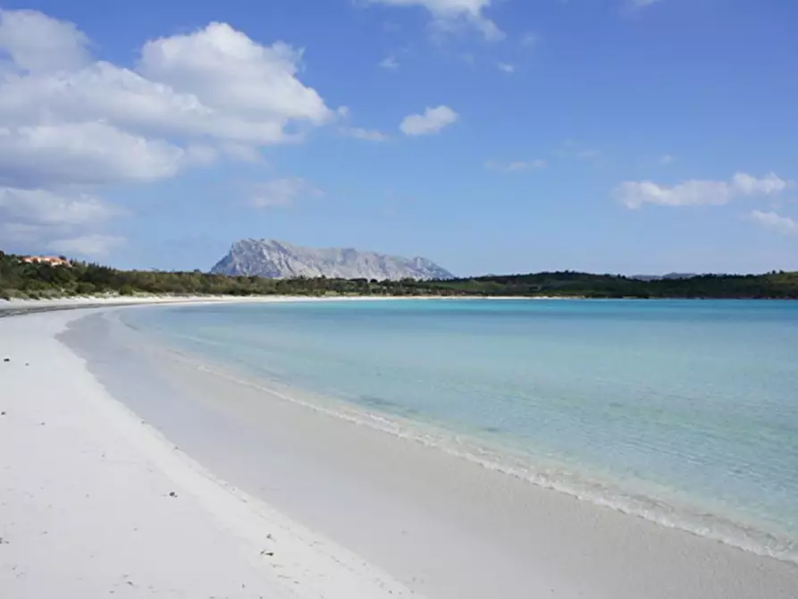 Immagine 12 di Villa in vendita  in Via L'AldìA Bianca a San Teodoro