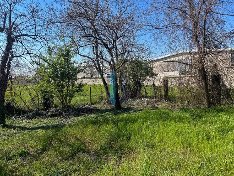 Immagine 9 di Rustico / casale in vendita  a Travagliato