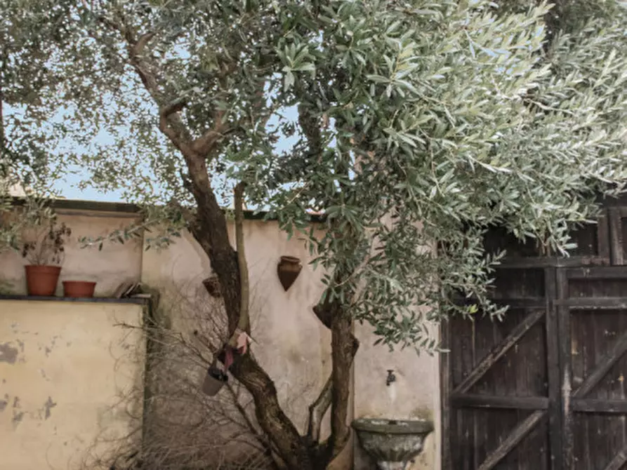 Immagine 5 di Appartamento in vendita  in Via Torino 1 a Casalgrasso