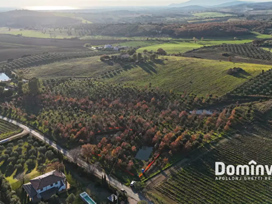 Immagine 4 di Rustico / casale in vendita  in Strada Provinciale 75 Pescia Fiorentina Chiarone a Capalbio