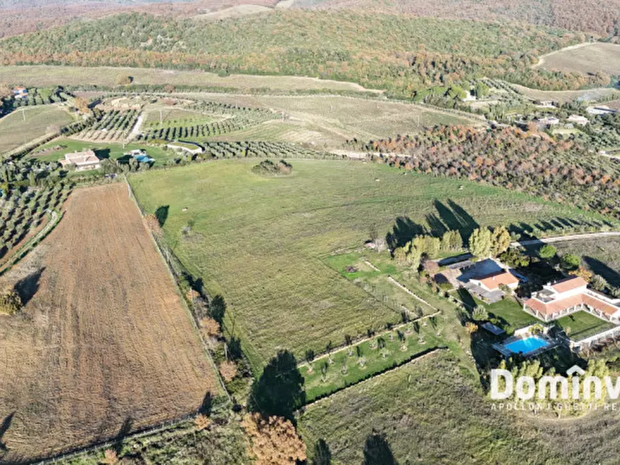 Immagine 6 di Rustico / casale in vendita  in Strada della Ficona a Capalbio