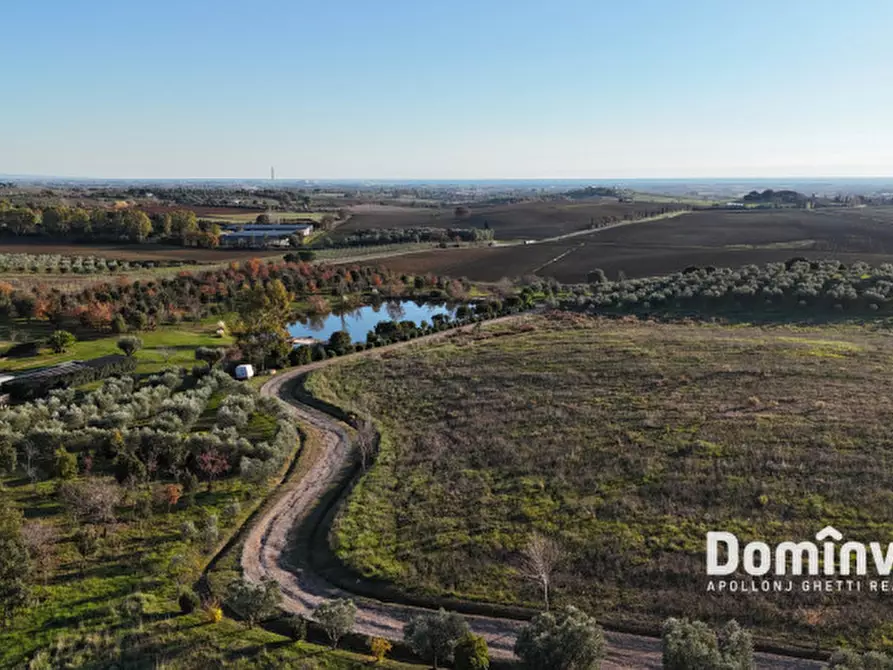 Immagine 7 di Rustico / casale in vendita  in Strada Provinciale 75 Pescia Fiorentina Chiarone a Capalbio