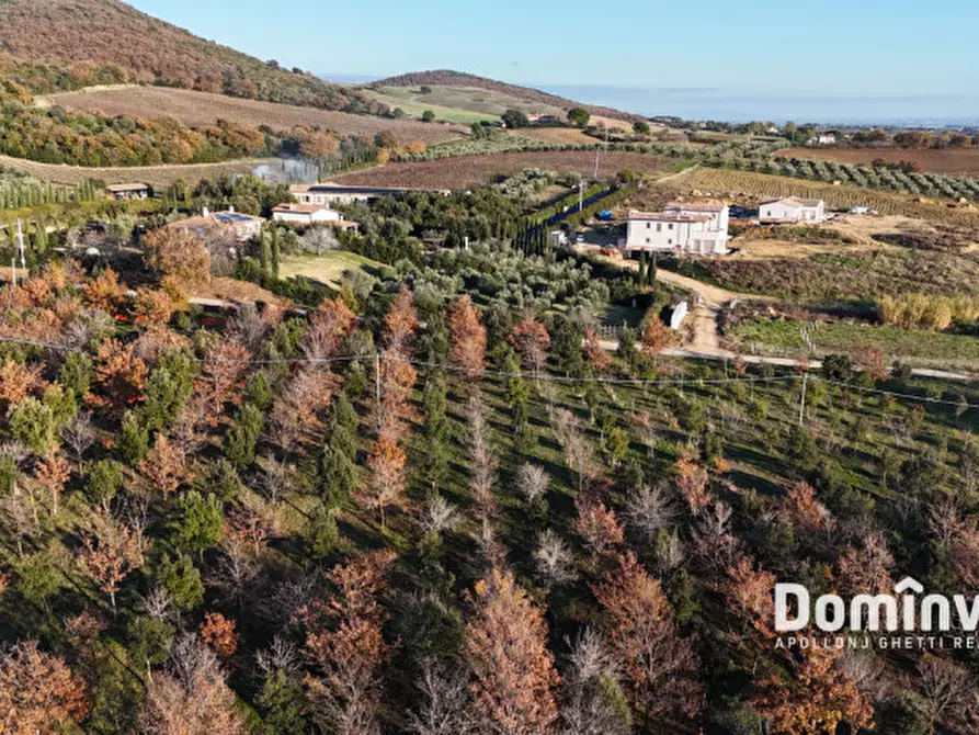 Immagine 8 di Rustico / casale in vendita  in Strada Provinciale 75 Pescia Fiorentina Chiarone a Capalbio