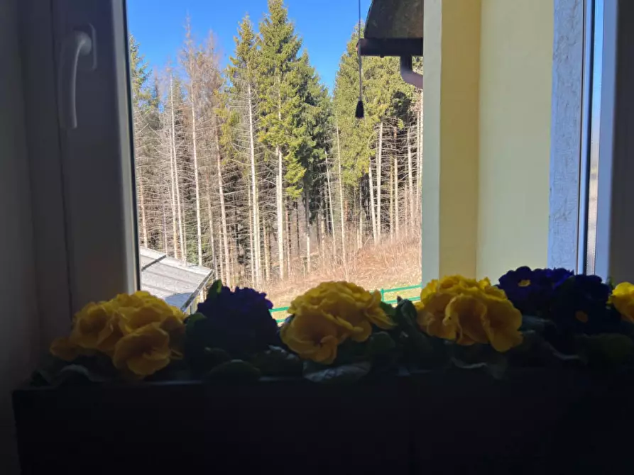 Immagine 11 di Appartamento in vendita  in Località Scandole a Bosco Chiesanuova