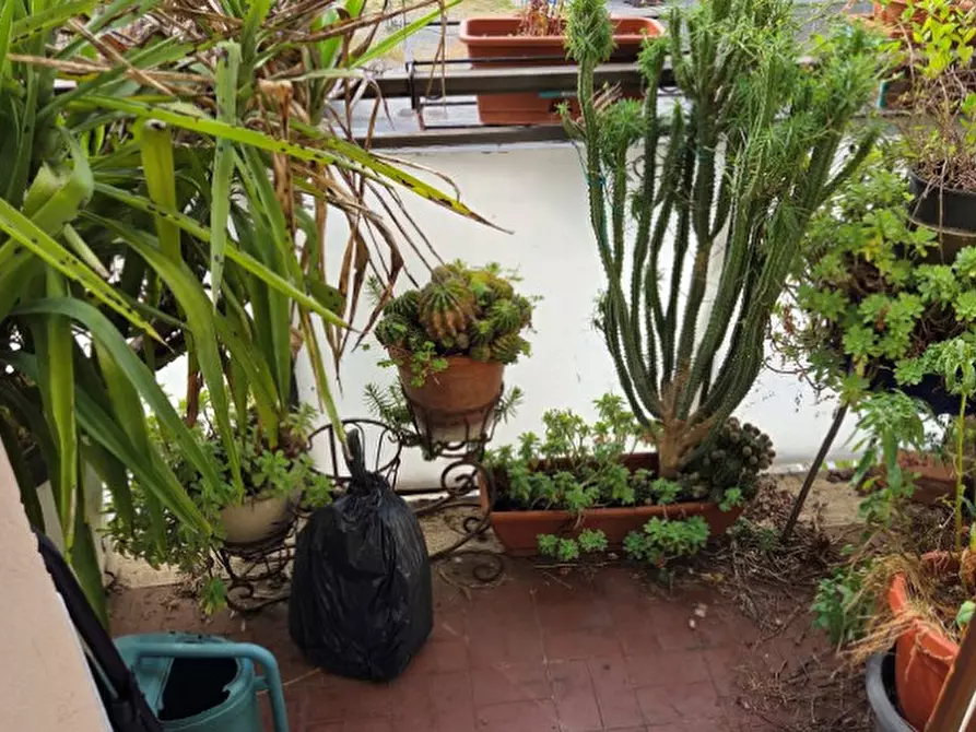 Immagine 16 di Appartamento in vendita  in via della pace, 60 a Sala Bolognese