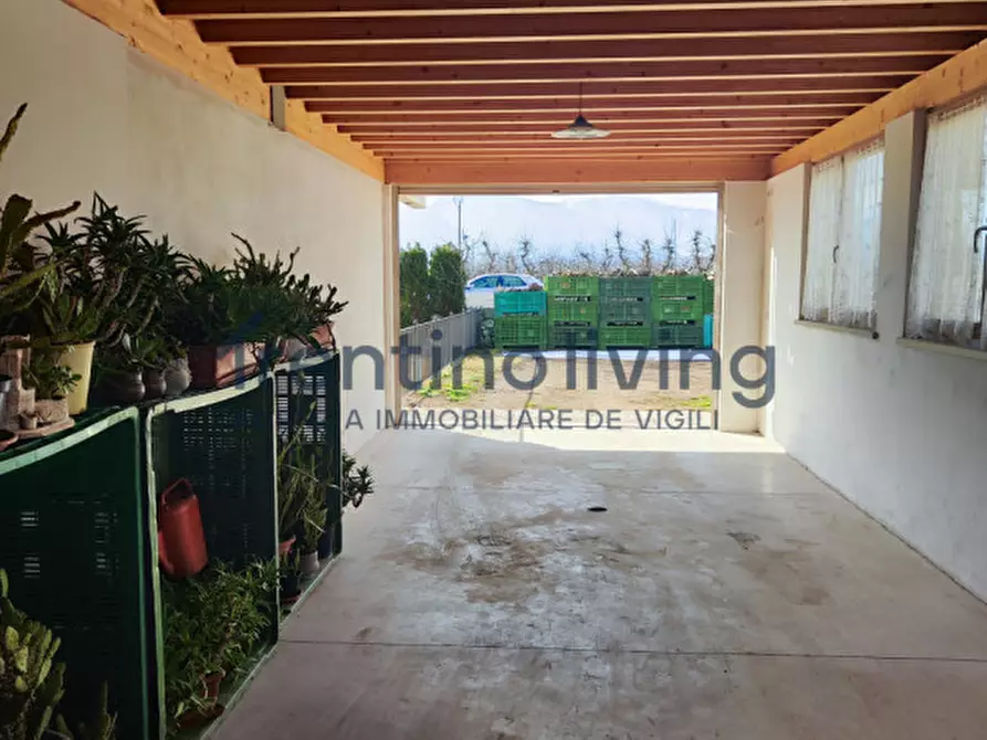 Immagine 9 di Appartamento in vendita  in Via Andreas Hofer a Predaia