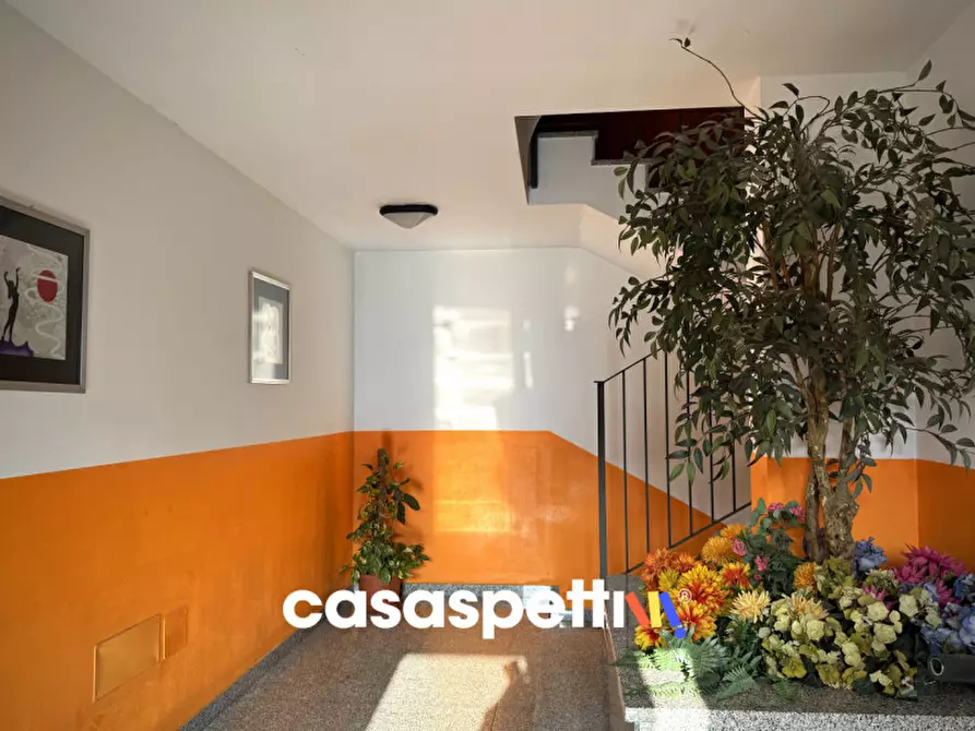 Immagine 42 di Appartamento in vendita  in Via Toscana, 19 a Torrevecchia Pia