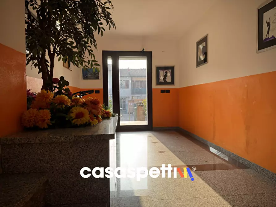 Immagine 43 di Appartamento in vendita  in Via Toscana, 19 a Torrevecchia Pia