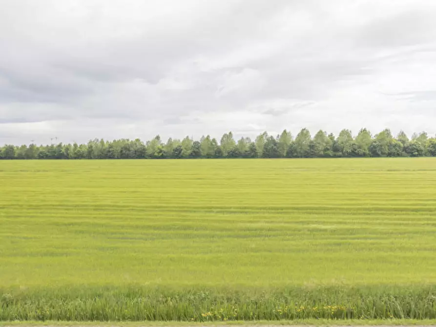 Immagine 13 di Appartamento in vendita  in favaro veneto a Venezia
