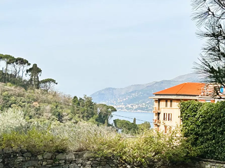 Immagine 12 di Appartamento in vendita  in Via Castagneto a Camogli