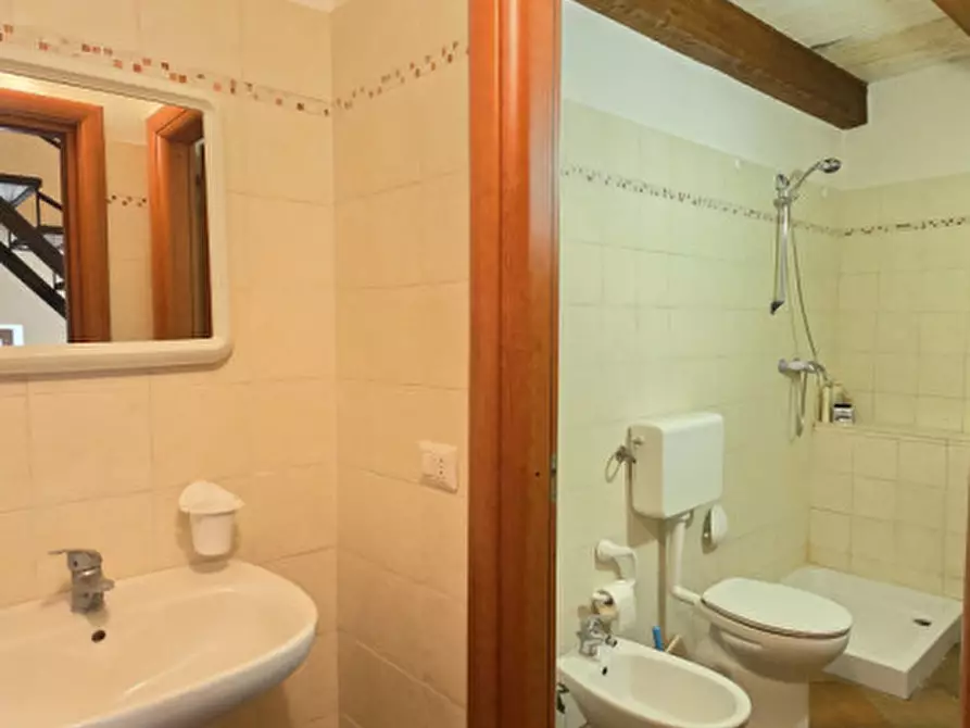 Immagine 7 di Casa indipendente in vendita  in via Monica Silvia.9 a Basicò