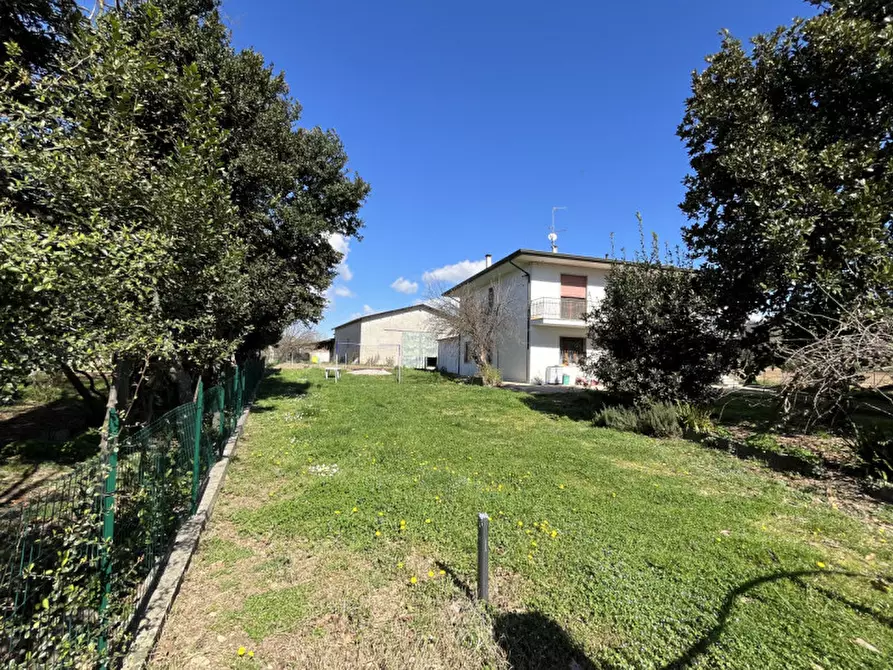 Immagine 2 di Appartamento in vendita  in Via Ca' Bregana a Albettone