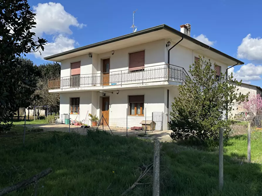 Immagine 3 di Appartamento in vendita  in Via Ca' Bregana a Albettone