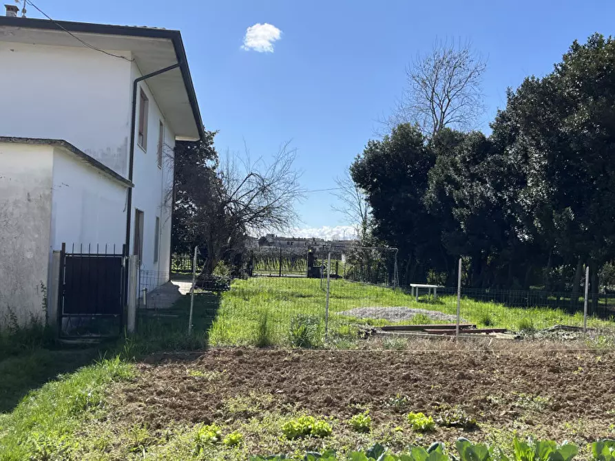 Immagine 5 di Appartamento in vendita  in Via Ca' Bregana a Albettone