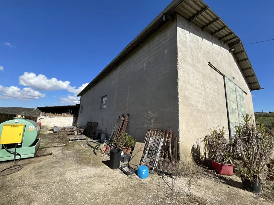 Immagine 6 di Appartamento in vendita  in Via Ca' Bregana a Albettone