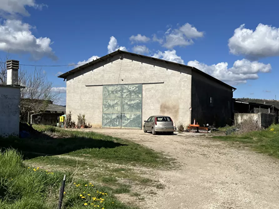 Immagine 7 di Appartamento in vendita  in Via Ca' Bregana a Albettone