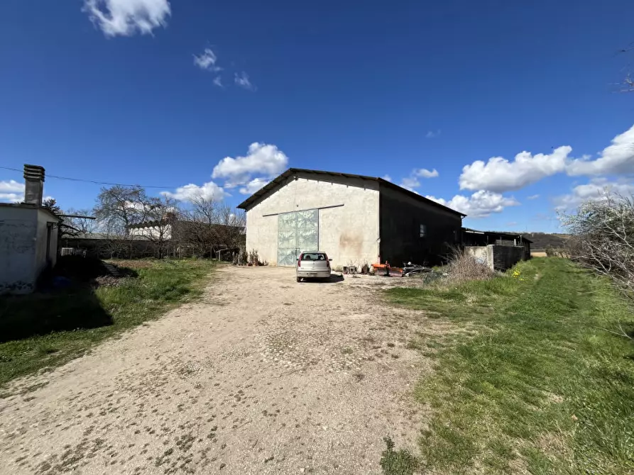 Immagine 8 di Appartamento in vendita  in Via Ca' Bregana a Albettone