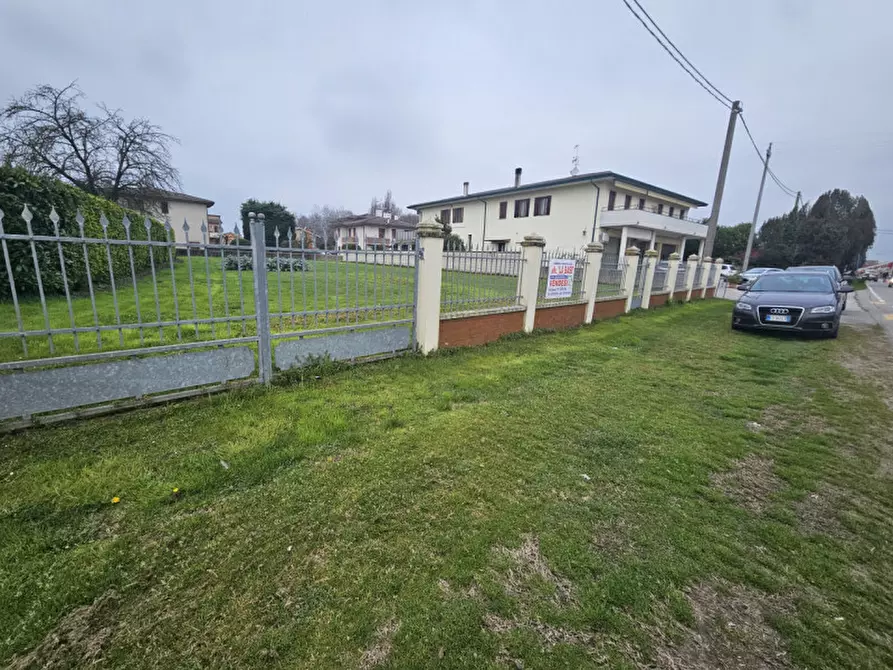 Immagine 5 di Terreno in vendita  in via Roma a Megliadino San Vitale