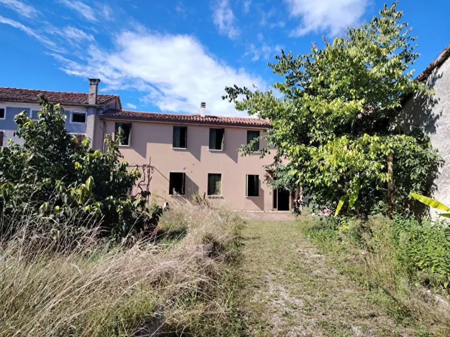 Immagine 3 di Casa indipendente in vendita  a Pieve Del Grappa