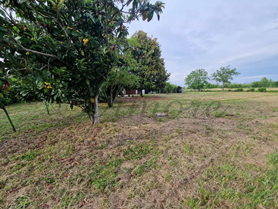 Immagine 3 di Casa indipendente in vendita  in via noalese a Pianiga