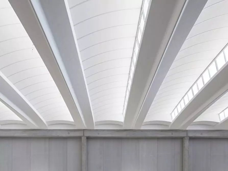 Immagine 2 di Capannone industriale in vendita  a San Martino Di Lupari