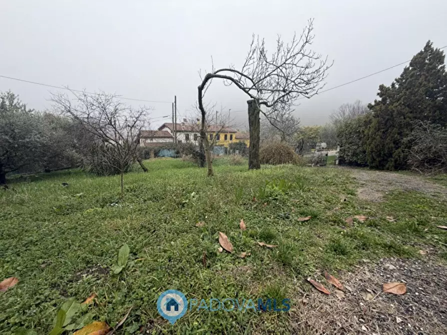 Immagine 4 di Casa bifamiliare in vendita  in Via Regazzoni Alta, 6 a Galzignano Terme