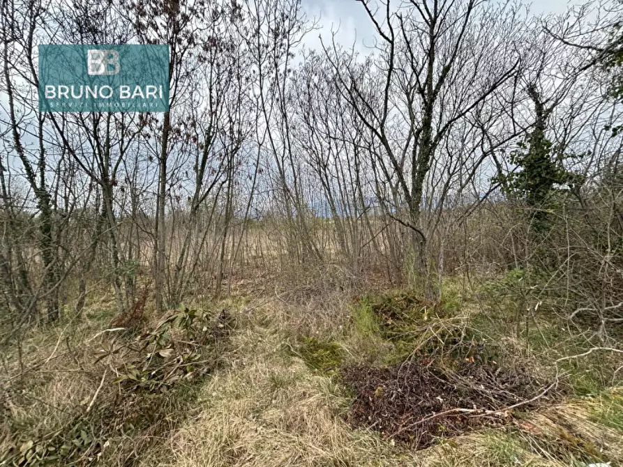 Immagine 3 di Terreno in vendita  in Via dei Templari a San Quirino